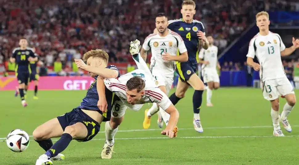 Hungary’s Game Management