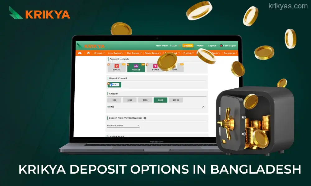 Common Deposit Problems and Solutions at Krikya