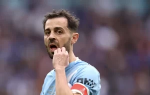 Silva